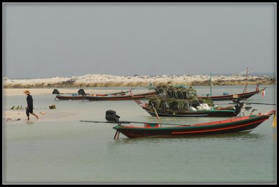 DSC_0016-6.jpg