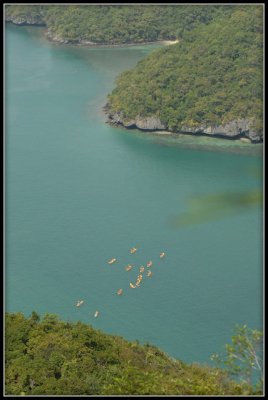 DSC_0019-7.jpg