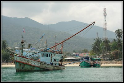 DSC_7052.jpg