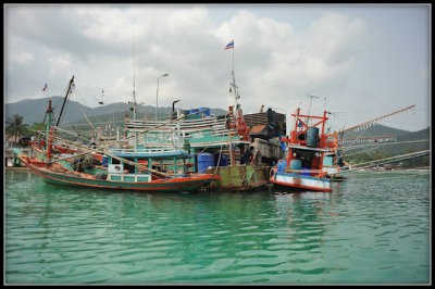 DSC_7055.jpg