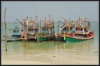 DSC_7089.jpg