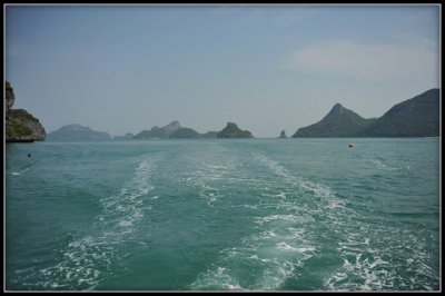 DSC_7273.jpg