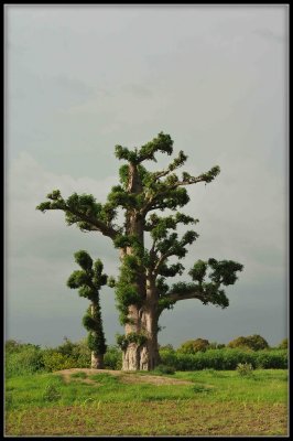 1000 (175).jpg