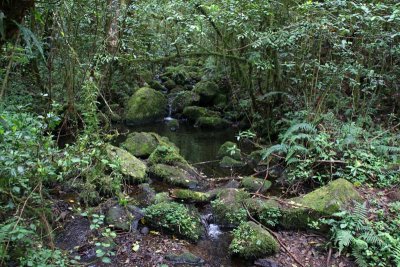 A little waterfall