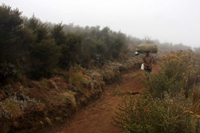 On the way from Mandara to Horombo