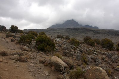 Mawenzi peak covered by clouds