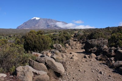 The beauty of Mount Kilimanjaro