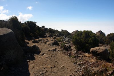On the trail...