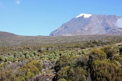 Closeup of Kibo Peak