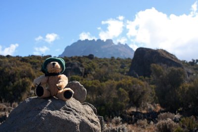 'Misia' was climbing Mount Kilimanjaro with us... :-)