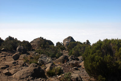 On the trail above the clouds...