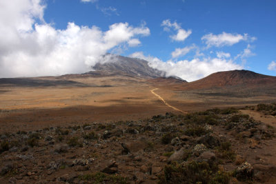 The Saddle