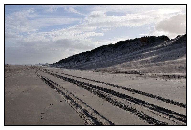 LA PLAGE, LES DUNES, LE VENT 