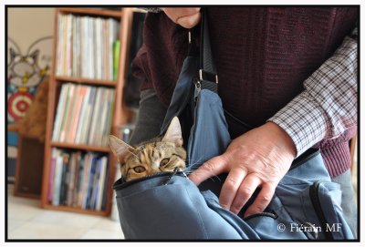 PRÊTE POUR LA BALADE 