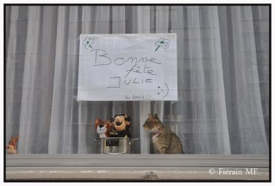 C'EST QUI CES DEUX LA 