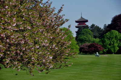 LE PARC ET LA TOUR JAPONAISE