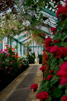 LES SERRES ROYALES  DE LAEKEN