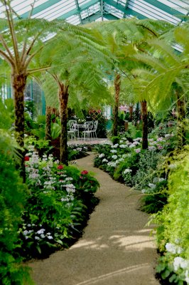 LES SERRES ROYALES  DE LAEKEN