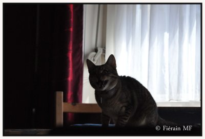 JUIN 2011 - RUSTINE A 10 MOIS