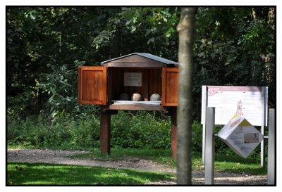 L 'Abbaye des Dunes - site archéologique
Coxyde - Koksijde