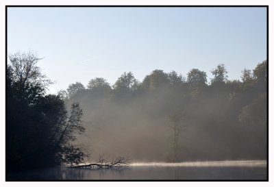 Forêt de Soignes / Rouge-Cloître 