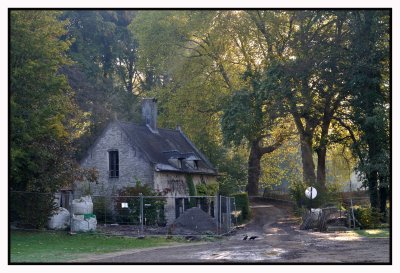 Forêt de Soignes / Rouge-Cloître 