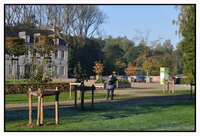 Forêt de Soignes / Rouge-Cloître 