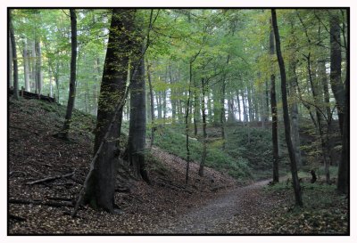 Samedi 22 octobre , premiers frimas , brume et