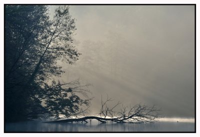 Par un beau matin de brume et de   
