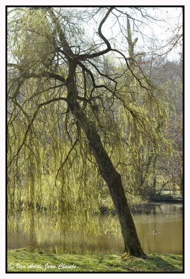Dans le parc Tournay-Solvay