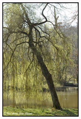 Dans le parc Tournay-Solvay 