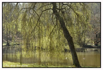 Dans le parc Tournay-Solvay 