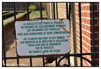 Le potager au parc Tournay-Solvay