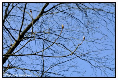 Dans le parc Tournay-Solvay