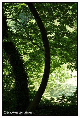 Etang des enfants noyés