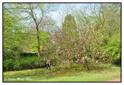 Parc Tournay-Solvay