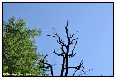 Un ciel bleu ^^