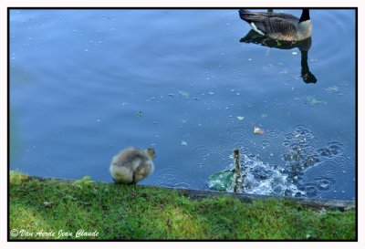 Hop !  un p'tit bain 