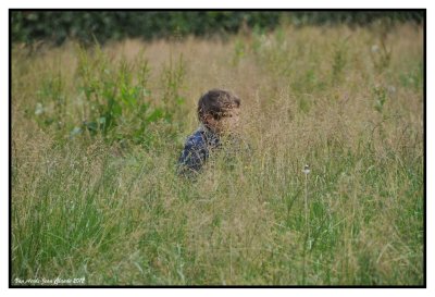 Un enfant dans la nature 