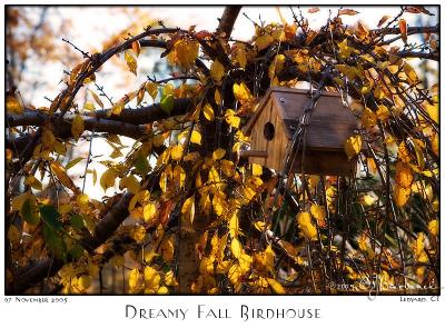 07Nov05 Dreamy Fall Birdhouse - 7216