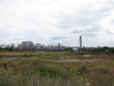IMG_0396.JPG