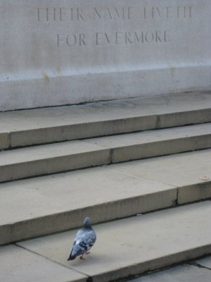 IMG_3676.JPG