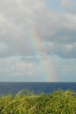 g4/87/506087/3/64592680.Dx20uJsS.jpg