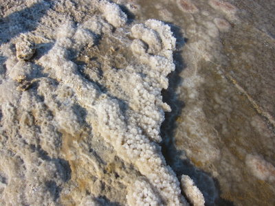 At the Dead Sea-salt is encrusted everywhere around the dead sea