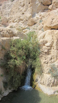 Hiking up the lower part of King David Falls