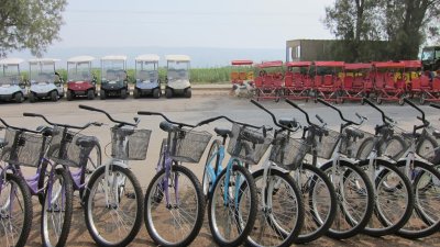 rental options for Agamon Hula-bikes and multi-person bikes- we rented a golf cart