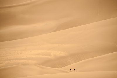 Sandscape