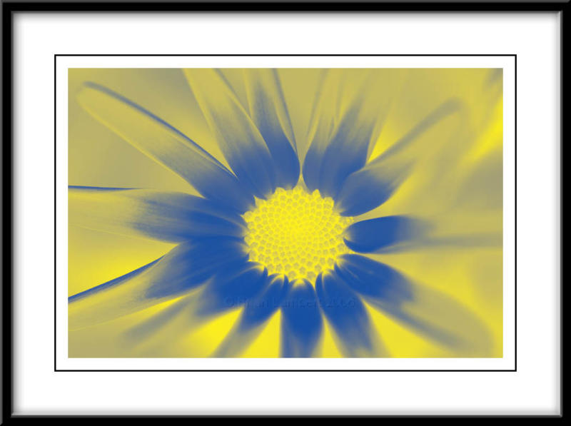 Senetti