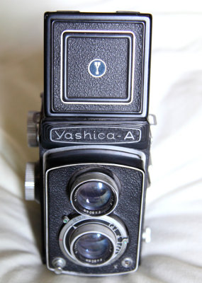 Yashica