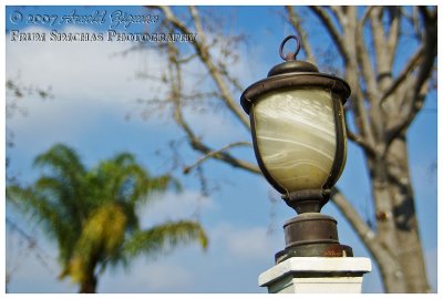 Lamp post in yard